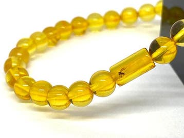 Het gefossiliseerde ooggetuige: Baltisch amber armband met