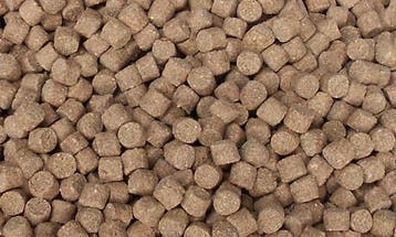 Zinkend koi karper voer 4,5 mm. 20kg. allseason pellets €50, Ophalen of Verzenden, Vis