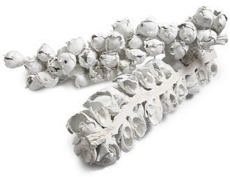 Cacho coco halve dadelstronk wit gewassen ca. 60-70 cm 1, Ophalen of Verzenden, Nieuw