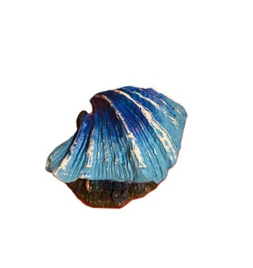 Schelp met luchtaansluiting blauw OS-151 - aquarium decorati, Ophalen of Verzenden, Nieuw