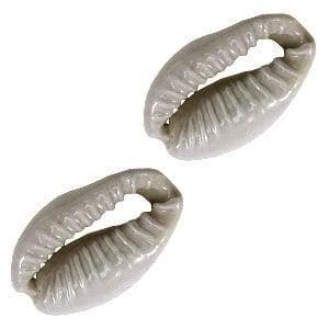 4 x Schelp kralen Kauri  ca. 17x12mm  Grey, Ophalen of Verzenden, Nieuw, Kraal