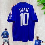 France national team - Wereldkampioenschap Voetbal -, Nieuw