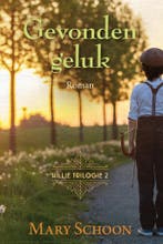 Gevonden geluk / Hillie trilogie / 2 9789020552652, Boeken, Verzenden, Zo goed als nieuw, Mary Schoon