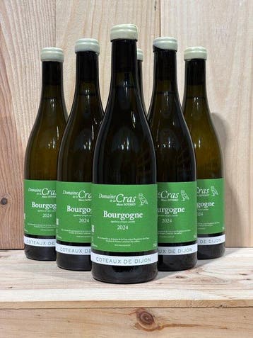 2024 Marc Soyard - Coteaux de Dijon - 6 Flessen (0.75 liter), Nieuw