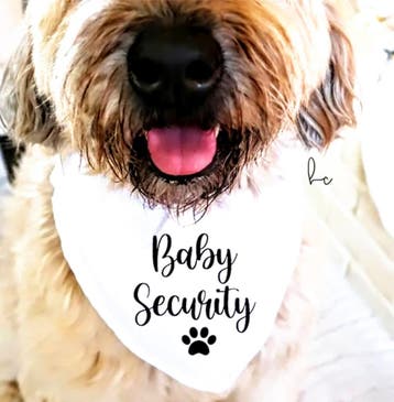 Luxe honden bandana Baby Security zwart, Ophalen of Verzenden, Nieuw