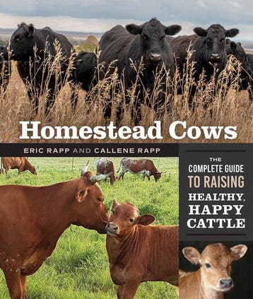 9780865719477 Homestead Cows Callene Rapp, Boeken, Verzenden, Nieuw, Callene Rapp