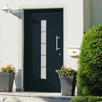 vidaXL Voordeur 100x200 cm aluminium en PVC antraciet, Verzenden, Nieuw