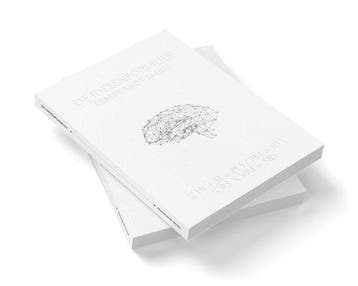 de ideeënformule - Rembrandt Smids 9789090318189, Verzenden, Gelezen, Rembrandt Smids