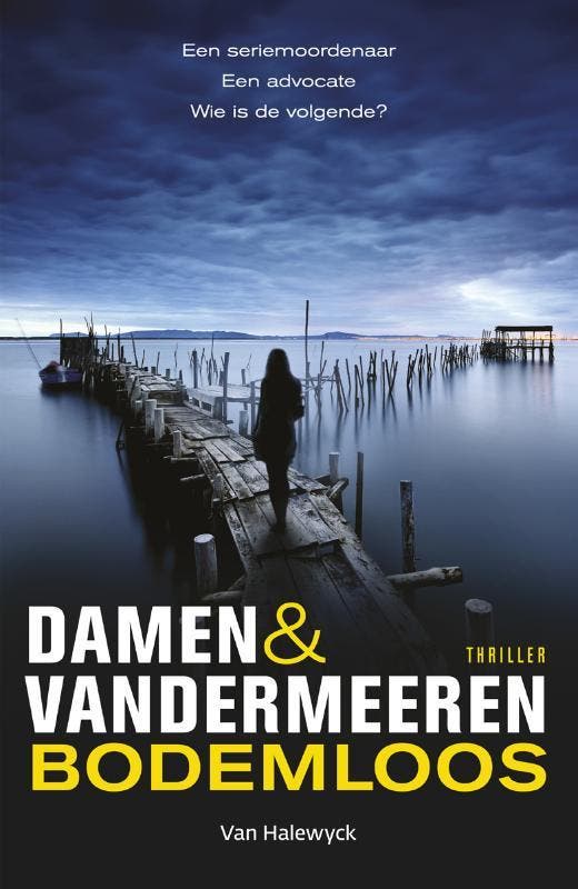 Bodemloos |  | Nieuw, Boeken, Thrillers, Nieuw, Ophalen of Verzenden
