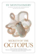9781426223723 Secrets of the Octopus Sy Montgomery, Verzenden, Nieuw, Sy Montgomery