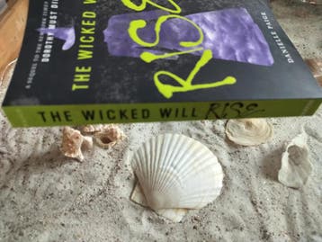 Danielle Page - The wicked will rise - English, Gelezen, Danielle Page