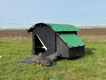 Kunststof Kippenhok - Nestera Medium Grondmodel  - Afhalen, Ophalen of Verzenden, Nieuw