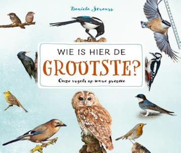 Wie is hier de grootste? - Daniela Strauss 9789059567177, Verzenden, Zo goed als nieuw, Daniela Strauss