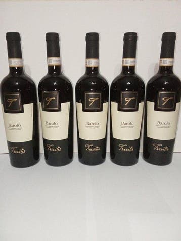 2022 Trevitis - Barolo - 5 Flessen (0.75 liter), Nieuw