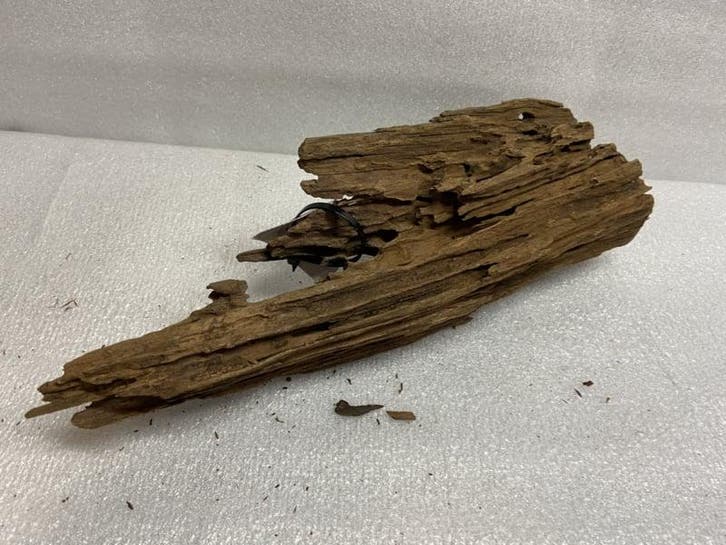 Am 666 Fine Sinkingwood 32x15x12cm aquarium decoratie hout, Dieren en Toebehoren, Vissen | Aquaria en Toebehoren, Plant(en), Steen of Hout