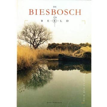 BIESBOSCH IN BEELD DE - H. Werther 9789073187016, Verzenden, Zo goed als nieuw, H. Werther