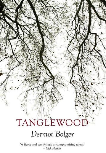 Tanglewood - Dermot Bolger 9781848404304, Verzenden, Gelezen, Dermot Bolger