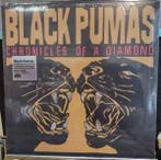 lp nieuw - Black Pumas - Chronicles Of A Diamond, Verzenden, Zo goed als nieuw