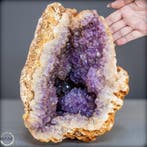 Cactus Amethist uit Afrika – Kristalbetovering in paarse