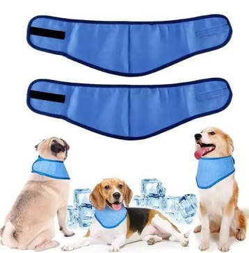 Koelbandana voor Honden – Herbruikbare Ademende Halsband, Verzenden, Nieuw