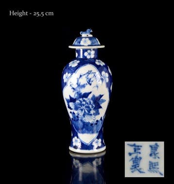 Een grote Chinese blauw-witte vaas met Bird and peony en
