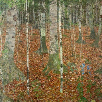 Gustav Klimt (after) - Birch Forest - Fine art giclée