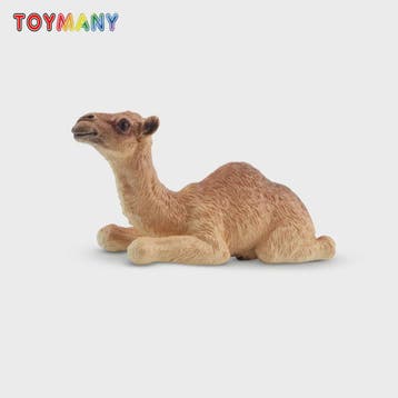 Toymany Camel Kalf Miniatuur Dier Model - Realistische Speel