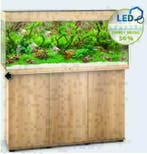 Twente SUPER aanbieding 10 neon tetra  nu  7.99 Bo-vis.nl, Dieren en Toebehoren, Vis, Zoetwatervis, Schoolvis