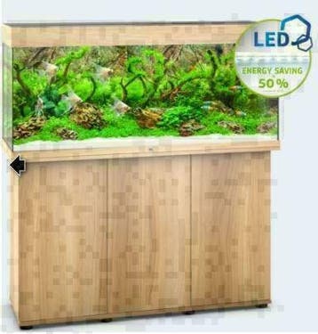 Twente SUPER aanbieding 10 neon tetra  nu  7.99 Bo-vis.nl, Vis, Zoetwatervis, Schoolvis
