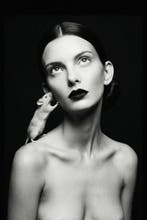 Alina Lebedeva - The white Mouse