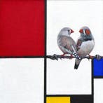 Jos Verheugen - Free after Mondrian, with Zebra Finches