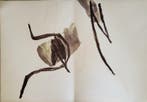 Pierre Tal-Coat (1905-1985) - Lithographie originale, papier