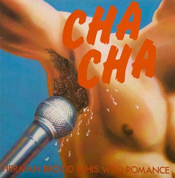 Herman Brood &amp; His Wild Romance - Cha Cha, Ophalen of Verzenden, Gebruikt