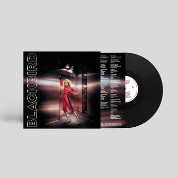 lp nieuw - blackbird - Do You Read Me!? (nieuw), Verzenden, Zo goed als nieuw, Overige formaten
