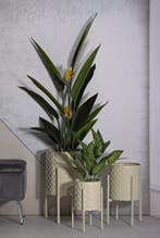 VAAS HGOLDER BETSY SET 3 STUKS CM Ø 36X56,5-30X48,5-24X37,5, Huis en Inrichting, Ophalen of Verzenden, Nieuw