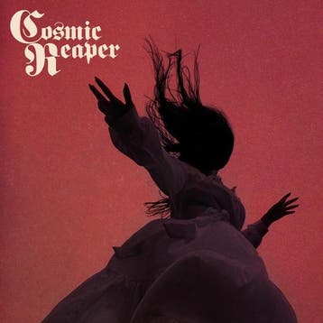 lp nieuw - cosmic reaper - BLEED THE WICKED, DROWN THE DA..., Verzenden, Zo goed als nieuw, Overige formaten