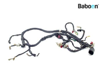 Kabelboom Honda VT 800 Shadow (VT800), Motoren, Verzenden, Gebruikt