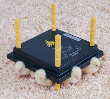 Warmteplaat 25x25cm voor kuikens, Dieren en Toebehoren, Ophalen of Verzenden, Nieuw