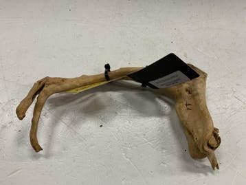 Spiderwood Selected SW88 - 28x15x7cm (Spider wood), Ophalen of Verzenden, Nieuw, Plant(en), Steen of Hout