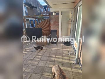 Comfortabel flat in Coevorden te ruil beganegrond 55 +, Huizen en Kamers, Drenthe