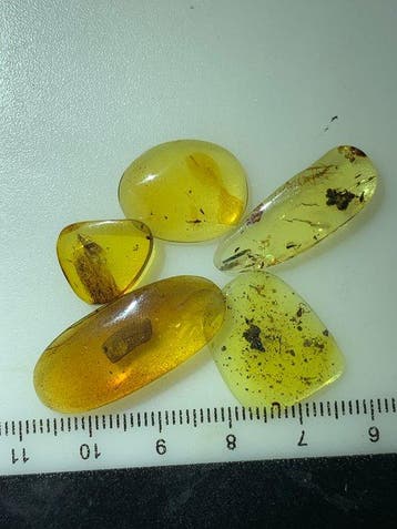 Birmese barnsteen - Barnsteen