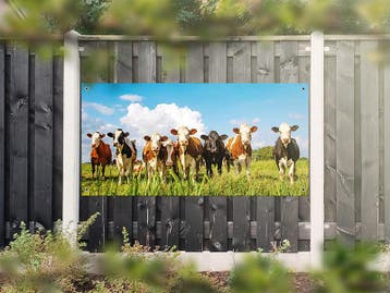 NR 1202: Tuinposter bonte koeien in wei 90x180cm, Nieuw
