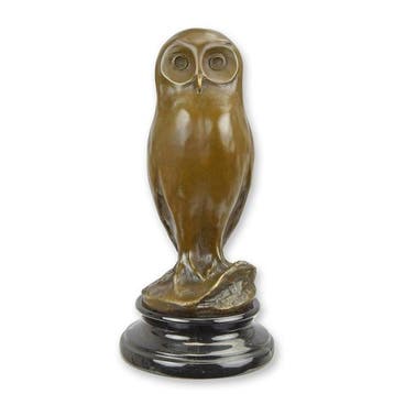 sculptuur, Beautiful Bronze Sculpture of a Young Owl – A