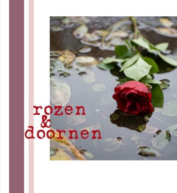 ROZEN EN DOORNEN 9789085201588, Verzenden, Gelezen