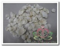White Cay Cay Kleine Witte Schelpjes 200 gram, Ophalen of Verzenden, Nieuw