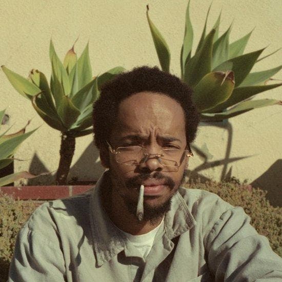 EARL SWEATSHIRT - LIVE LAUGH LOVE (LP), Cd's en Dvd's, Vinyl | Pop, Verzenden