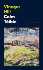 Vinegar Hill 9781800171619 Colm Toibin, Boeken, Ophalen of Verzenden, Nieuw, Colm Toibin
