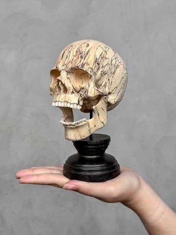 Snijwerk, NO RESERVE PRICE - Stunning Wooden Human Skull