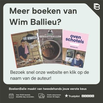 Het gehaktballen kookboek - Wim Ballieu 9789089316172, Verzenden, Gelezen, Wim Ballieu