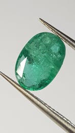 1 pcs Groen Smaragd - 2.53 ct - nternational Colored, Nieuw